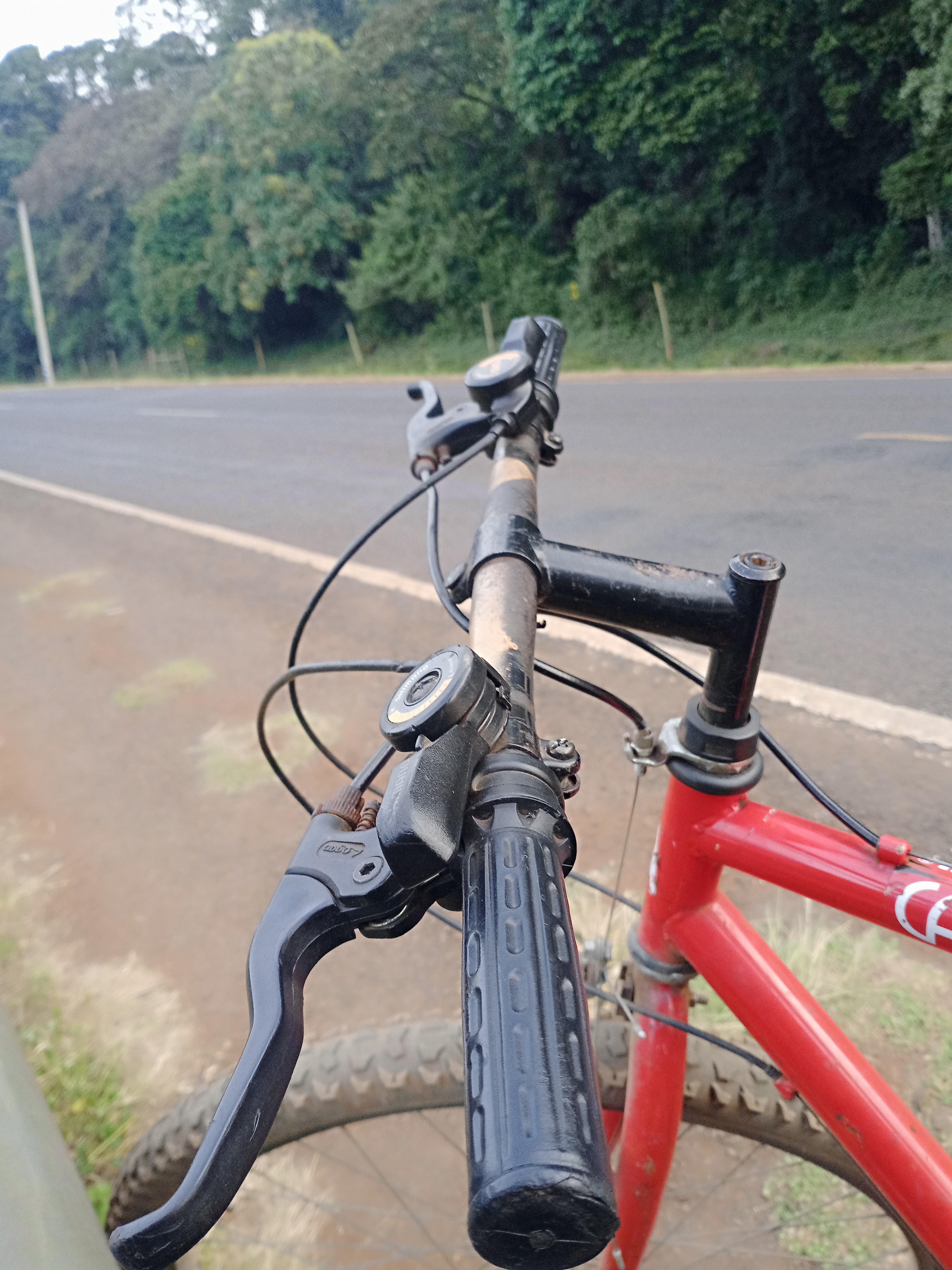 Bike rental fleet