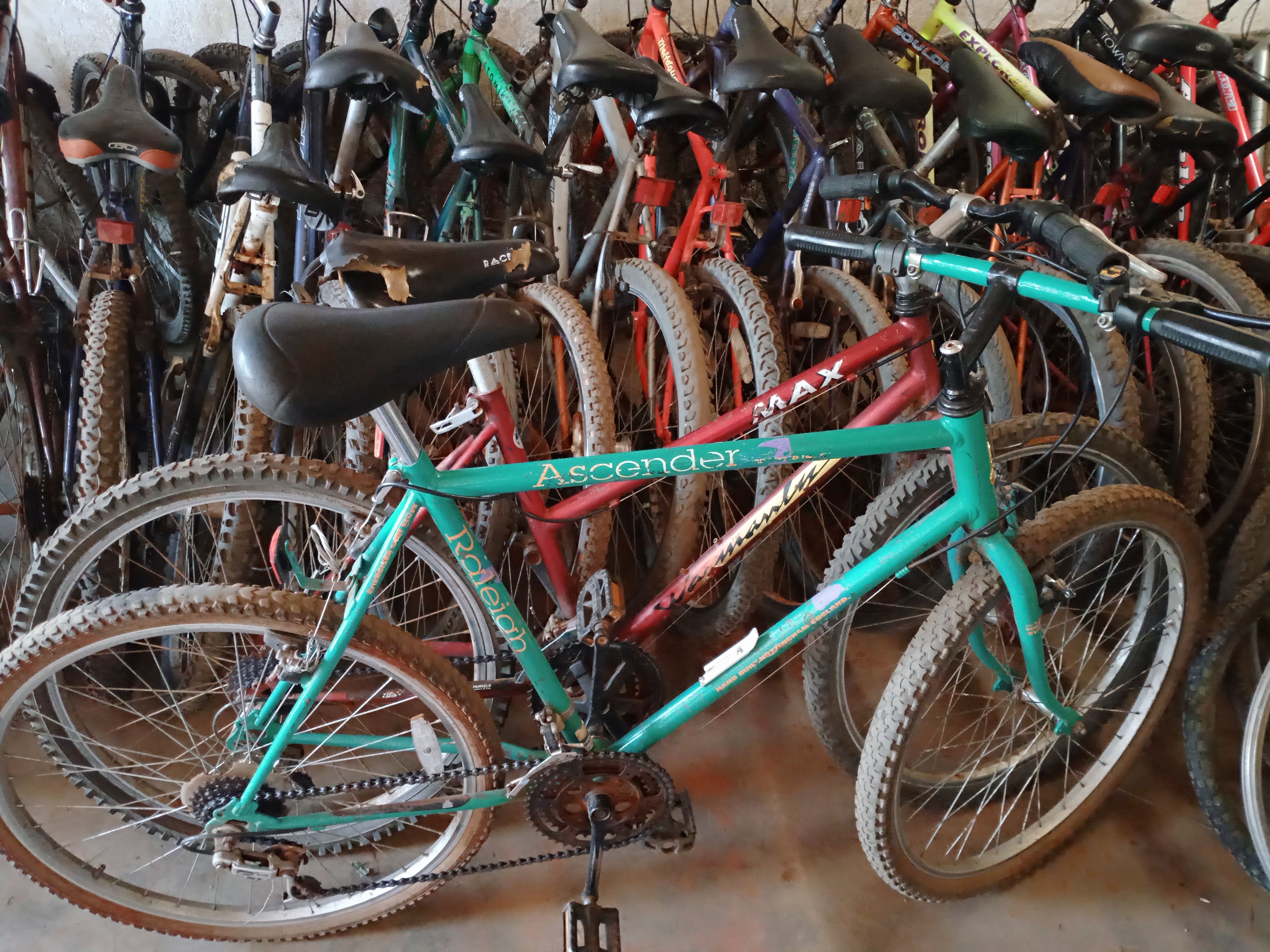 Family bike